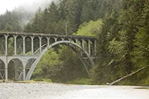 Shade Prints: View of historic bridge near Haceta Head Lighthouse - State Park. Near Florence, Oregon