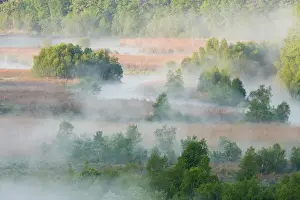 Images Dated 11th August 2015: View from Lookout Rock in Blackstone River and Canal Heritage State Park, Uxbridge, MA