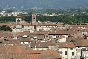 Images Dated 11th February 2010: View of Lucca from Torre Guinigi, Lucca, Tuscany, Italy, Europe