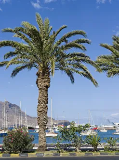 Dry Season Prints: View of Marina and Porto Grande. City Mindelo, a seaport on the island Sao Vicente