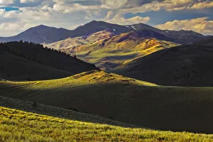 White Mountain Prints: View of meadow in the White Mountains at sunset, Inyo National Forest, California