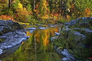 Images Dated 21st October 2009: A view of the North Umpqua in Umpqua National Forest