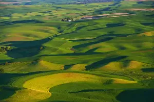 A view of the Palouse farm lands from Steptoe MT in Washington State