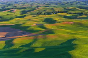 Rolling Landscape Prints: A view of the Palouse farm lands from Steptoe MT in Washington State
