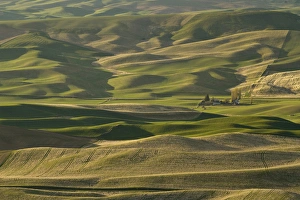 Rolling Landscape Prints: View of the palouse from the summit of Steptoe Butte
