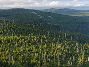 Neuschonau Prints: View from the peak of Mt. Lusen in the National Park Bavarian Forest (NP Bayerischer Wald