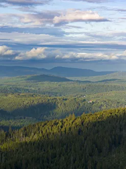 Images Dated 17th November 2020: View from the peak of Mt. Lusen in the National Park Bavarian Forest (NP Bayerischer Wald