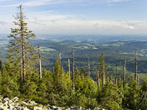 View from the peak of Mt. Lusen in the National Park Bavarian Forest (NP Bayerischer Wald