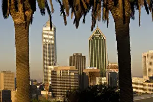 Populous Prints: View of the Perth Central Business District skyline from Kings Park
