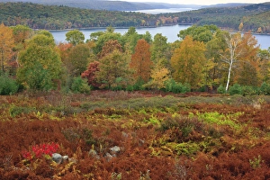 Images Dated 20th October 2009: View of the Quabbin Reservoir from the Enfield overlook in Ware, Massachusetts. Fall