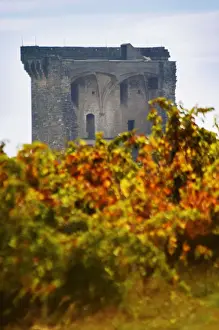 Images Dated 13th October 2005: A view of the ruined chateau, the Popes summer palace over the vineyards