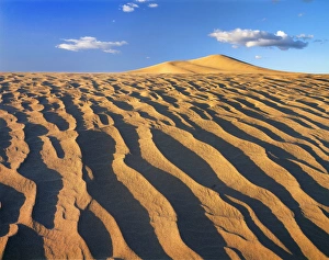 Horizon Over Land Prints: View of sand in desert