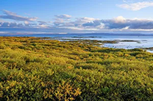 Snaefellsnes Prints: View towards Snaefellsnes Peninsula