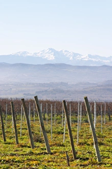 Images Dated 11th December 2006: View over the snow capped Pyrenees mountains. Chateau Rives-Blanques. Limoux. Languedoc