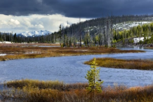 Images Dated 5th June 2010: View from southern end of Yellowstone National Park