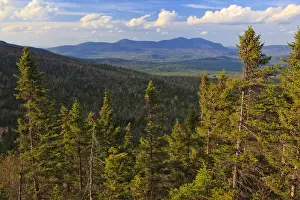 Images Dated 20th May 2010: View of spruce trees and the distant Bigelow Range from the Appalachian Trail