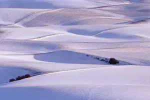 Images Dated 13th February 2004: View from Steptoe Butte of rolling hills covered in winter snow in Whitman County