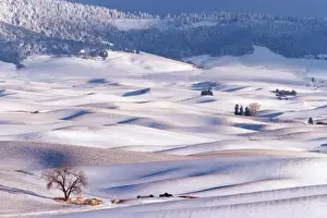 Images Dated 13th February 2004: View from Steptoe Butte of rolling hills covered in winter snow in Whitman County