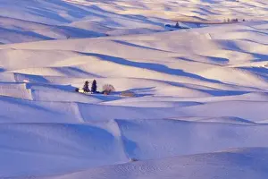 Images Dated 13th February 2004: View from Steptoe Butte of rolling hills covered in winter snow in Whitman County