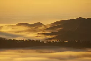 Images Dated 24th April 2007: View from Te Mata Peak and Early Light on Morning Mist, Hawkes Bay, North Island
