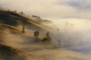 Images Dated 24th April 2007: View from Te Mata Peak and Early Morning Mist, Hawkes Bay, North Island, New Zealand