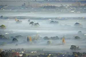 View from Te Mata Peak of Early Morning Mist over Havelock North, Hawkes Bay, North Island