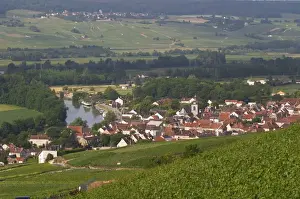 Cultivate Prints: A view of the Vallee de la Marne river and vineyards and the village Cumieres
