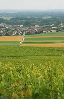 Images Dated 10th August 2015: a view over the village and vineyards of Chouilly at the experimental vineyard of