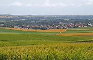 Cultivate Prints: a view over the village and vineyards of Chouilly at the experimental vineyard of