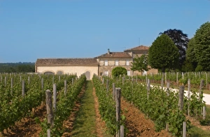 Arable Prints: A view over the vineyard, building and winery, Chateau Valandraud Saint Emilion Bordeaux