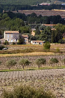 Images Dated 25th March 2006: view over the vineyard, small Provencal village in the background Chateau Vannieres
