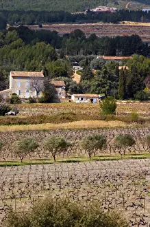 Rhone Prints: view over the vineyard, small Provencal village in the background Chateau Vannieres