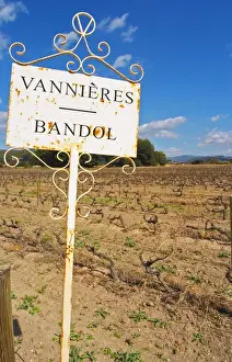Rhone Prints: View over the vineyard in spring