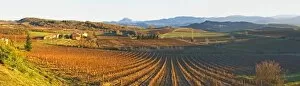 View over the vineyards at Conhilac de la Montagne Limoux. Languedoc. Evening sunshine
