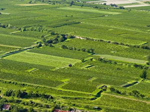 Images Dated 2021 April: View over the vineyards near the Danube from Gottweig Abbey, a UNESCO World Heritage Site