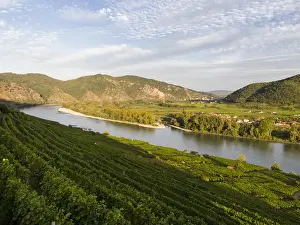 Austria Prints: View from Weissenkirchen over the Danube towards Rossatz and Duernstein in the Wachau