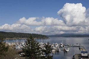View from the Whale Museum, Friday Harbor, San Juan Island, Washington State