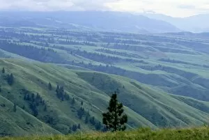 A view of White bird Hill in the Nez Perce National Historical Park. Palouse country in North Idaho