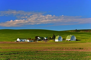 Viewing a farm in Palouse west of Colfax in Washington State