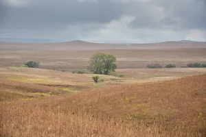 Kansas Prints: Viewing across some of the hills of Kansas