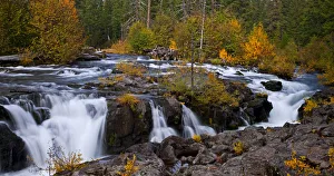Magical Prints: Viewing a running stream along the road in Union Creek Oregon