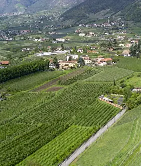 Images Dated 20th April 2012: Village of Algund (lagundo) in the valley of river Etsch surrounded by vineyards