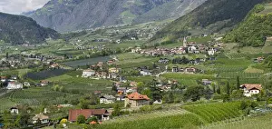Images Dated 20th April 2012: Village of Algund (lagundo) in the valley of river Etsch surrounded by vineyards