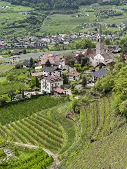 Images Dated 20th April 2012: Village of Algund (lagundo) in the valley of river Etsch surrounded by vineyards