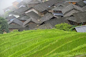 Village with rice terrace in the mountain in morning mist, Jiabang, Guizhou Province