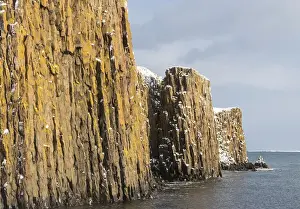 Village Stykkisholmur on the Snaefellsnes peninsula during winter