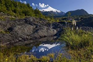 Powerful Prints: Villarrica National Park, Chile. South America