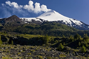 Villarrica National Park, Chile. South America