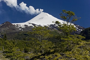 Images Dated 24th March 2010: Villarrica National Park, Chile. South America
