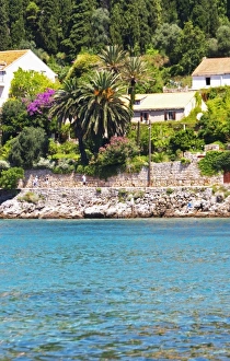 Images Dated 18th July 2006: Villas with palm trees, orange trees, trees in lilac violet bloom, Uvala Sumartin